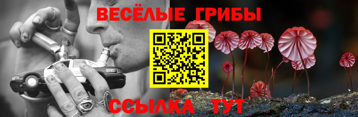 Псилоцибиновые грибы Cubensis Дальнереченск