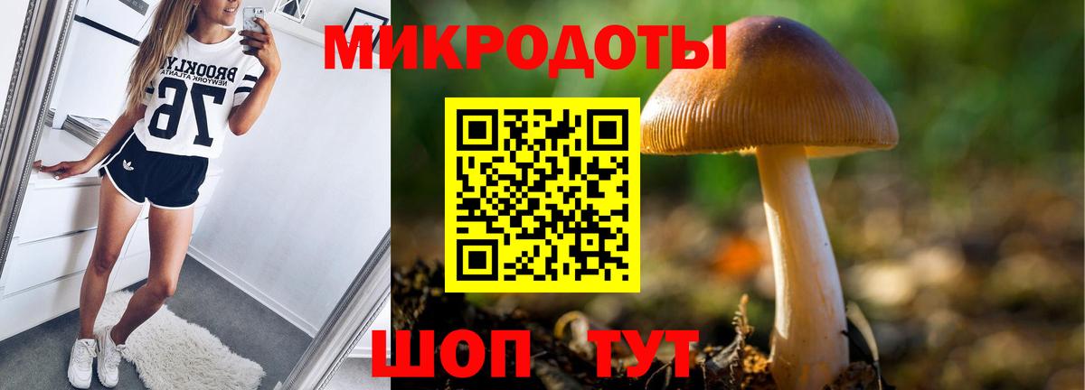 Псилоцибиновые грибы Psilocybine cubensis  Вход с VPN  Дальнереченск 